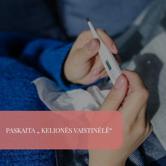 Paskaita „ Kelionės vaistinėlė“